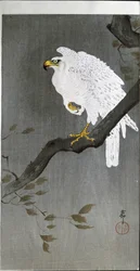 Falke auf einem Ast, 1907